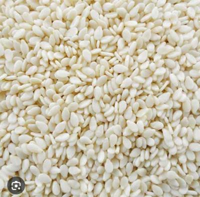 SafedeTil Seeds